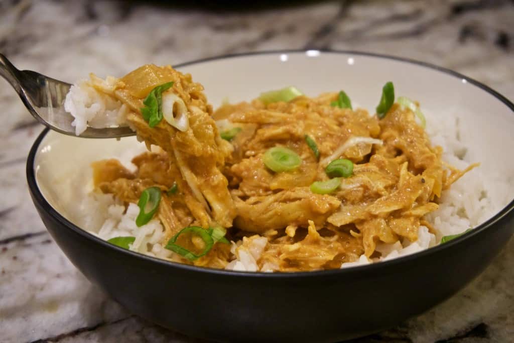 Slow-Cooker Curried Chicken with Ginger and Yogurt | YummyNoises.com