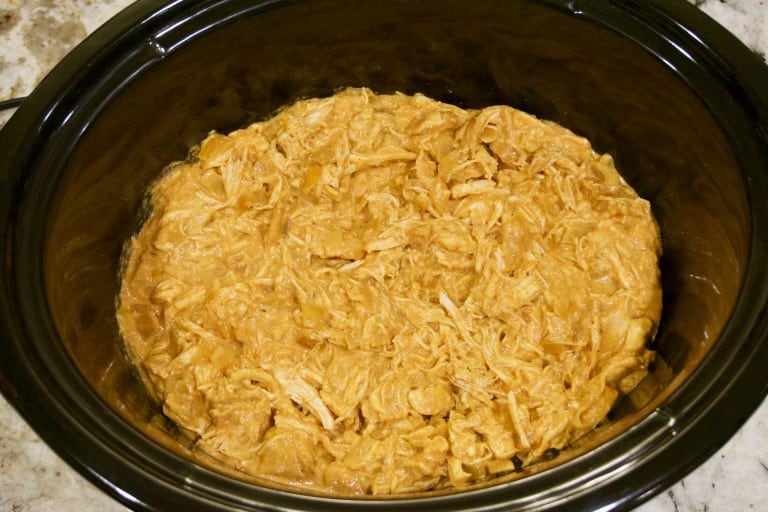 SlowCooker Curried Chicken with Ginger and Yogurt Yummy Noises