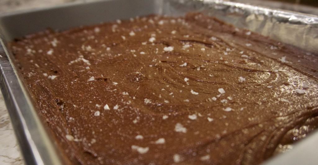 Salted Fudge Brownies | YummyNoises.com