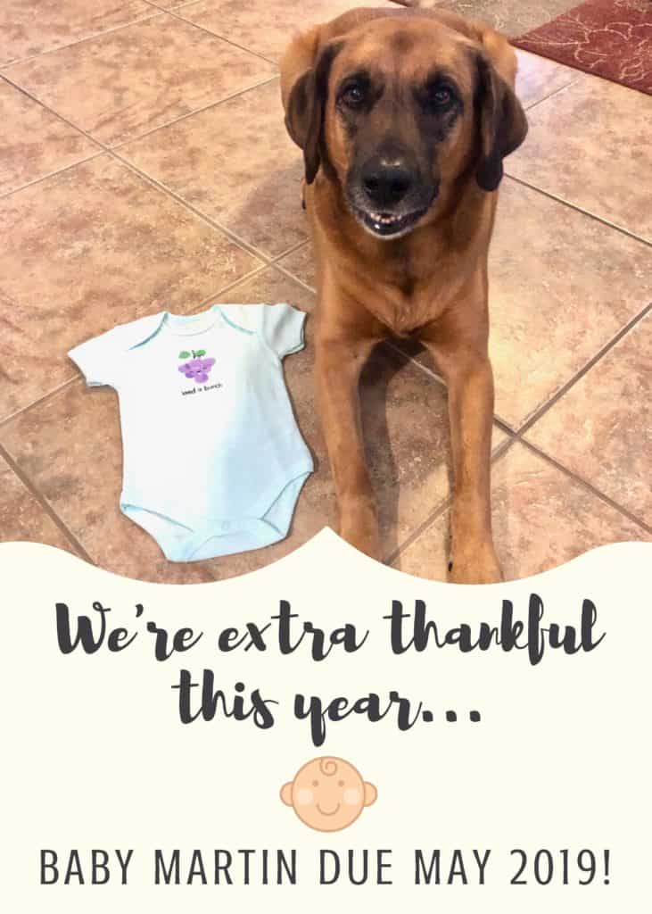 We're extra thankful this year...Baby Martin due May 2019!