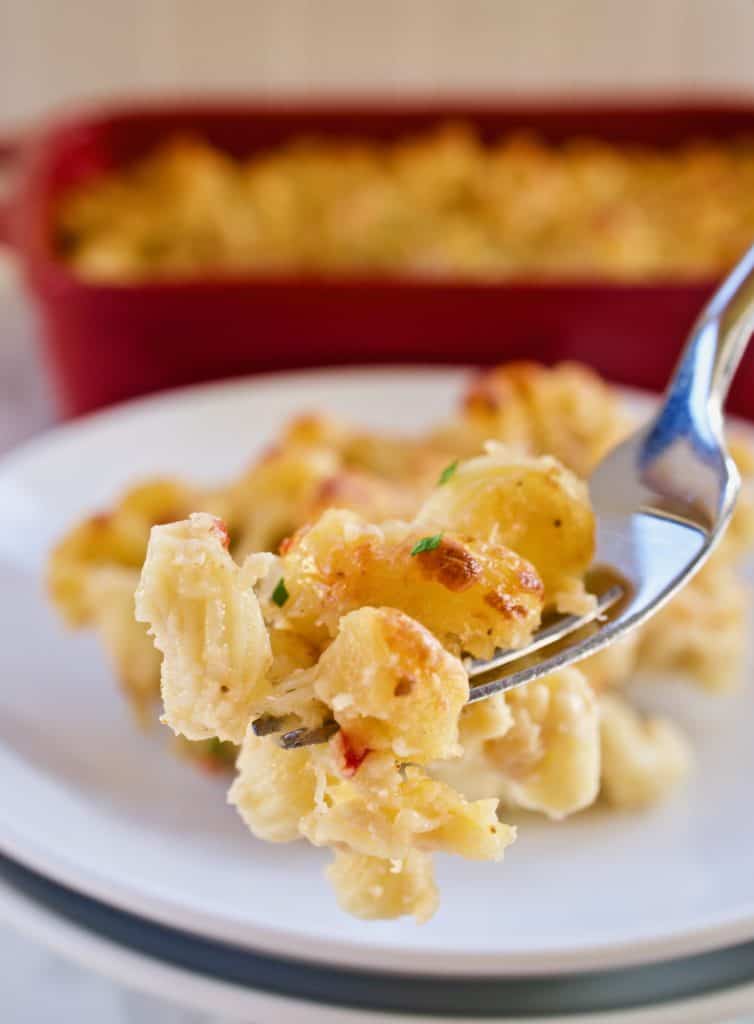Closeup of spicy mac and cheese on a fork