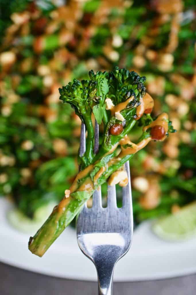 Piece of roasted broccolini drizzled with spicy peanut sauce on a fork