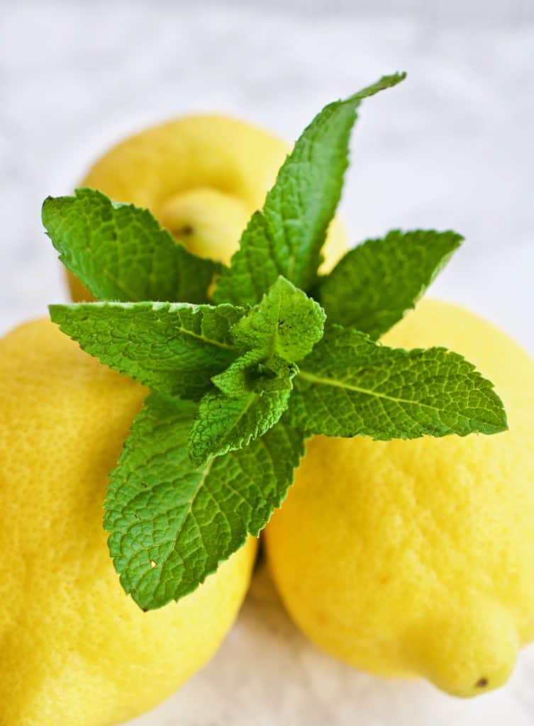 Closeup of mint sprig surrounded by lemons