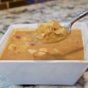 Spoonful of chicken queso soup