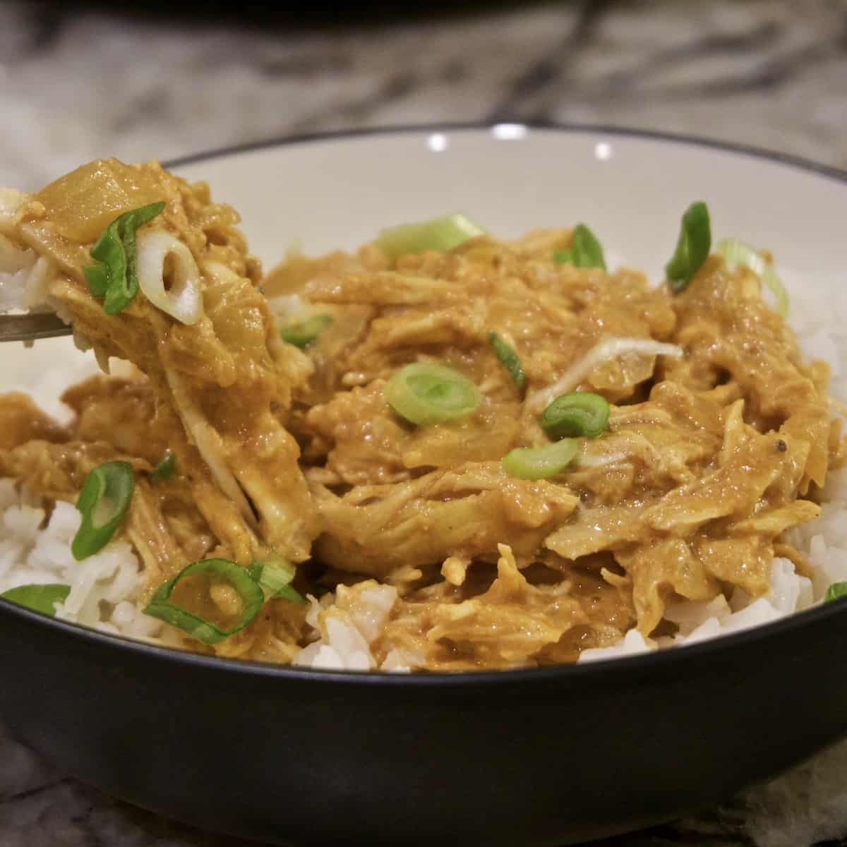 Curried Chicken with Ginger & Yogurt (Slow Cooker)