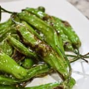 Pimientos padron on a white plate